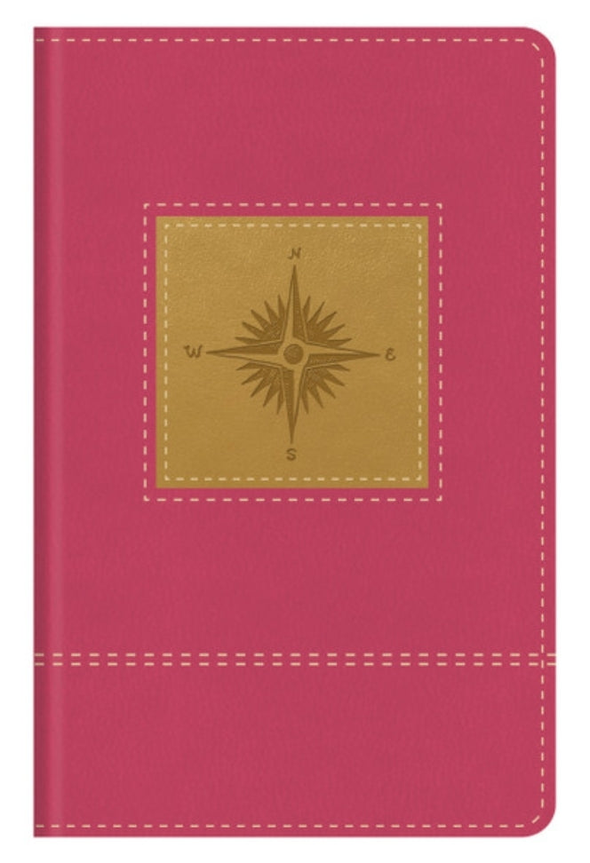 Go-Anywhere KJV Study Bible (Primrose Compass) - Thumb-indexed