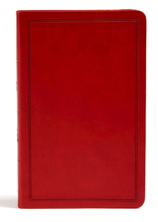 KJV Deluxe Gift Bible- LeatherTouch- Holman