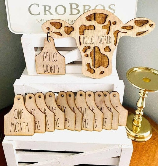 Baby Milestone set- 13 piece cow/ cow tag set