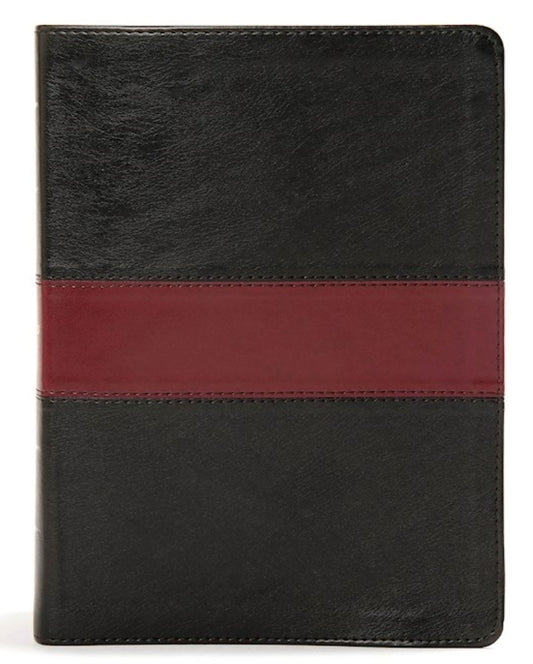 KJV Apologetics Study Bible-Black/Burgundy LeatherTouch