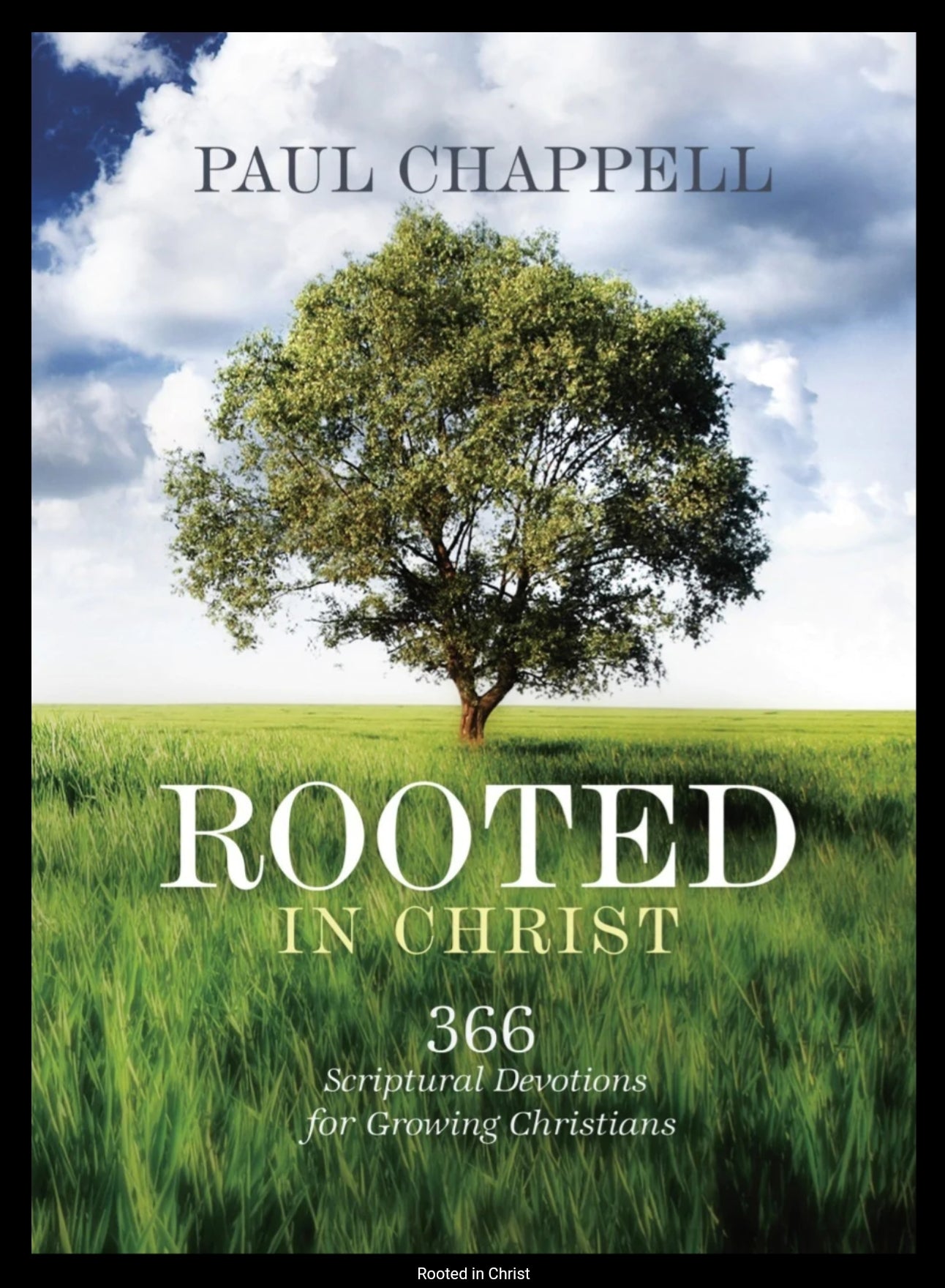 Rooted in Christ