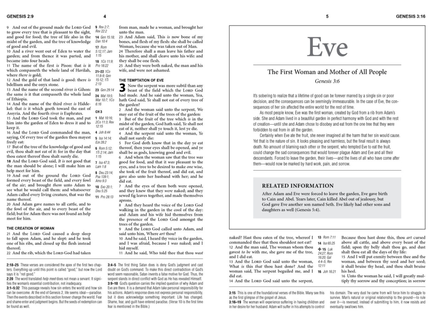 KJV Cross Reference Study Bible (Sage Songbird)